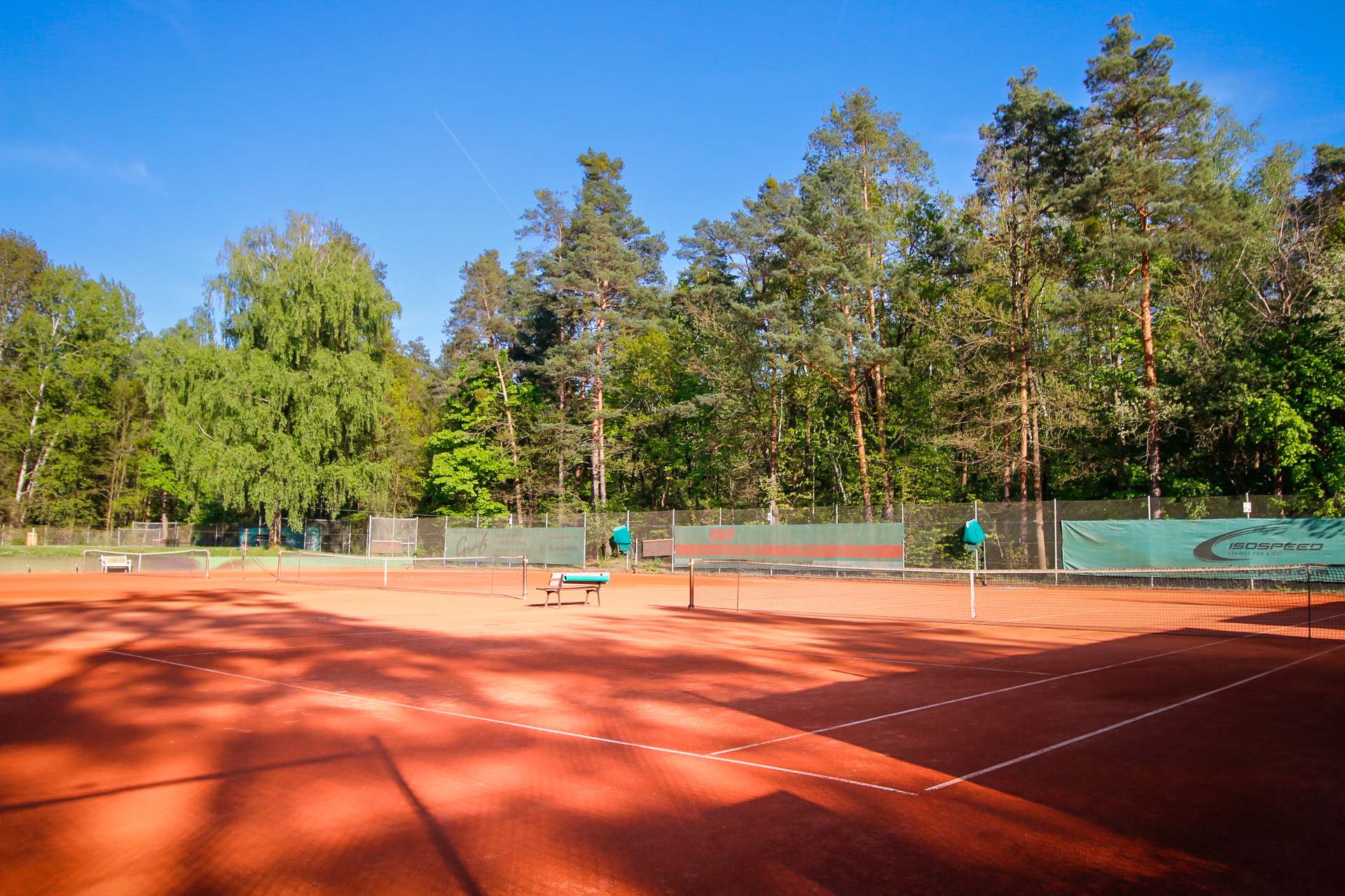 Leerer Tennisplatz aus rotem Sand mit Netz, umgeben von hohen Bäumen.